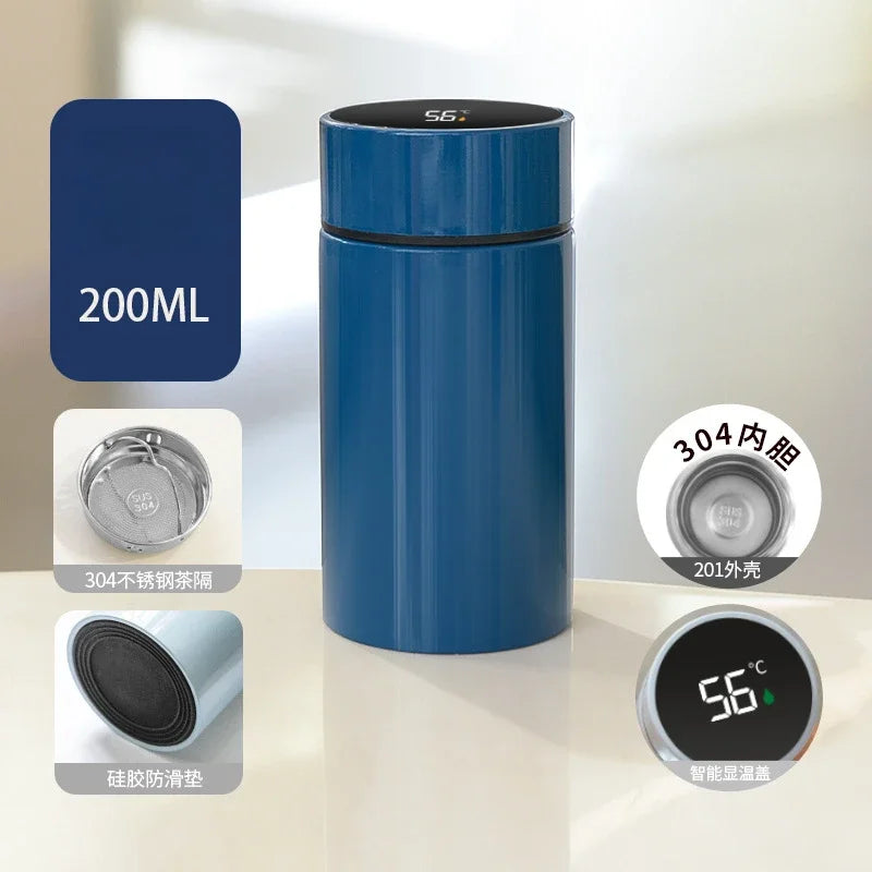Temperature Control Thermos
