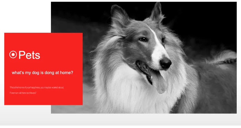 Cámara de Seguridad CCTV AHD 4K para Exterior/Interior con Visión Nocturna Infrarroja, 5MP/1080P