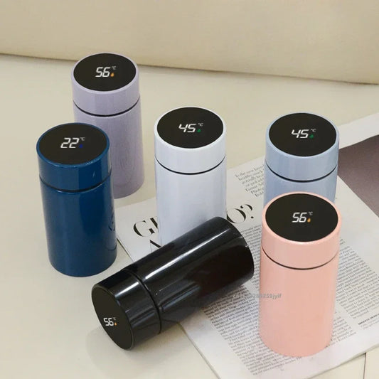 Temperature Control Thermos